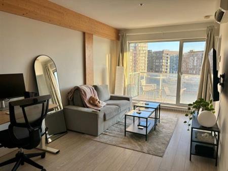 Bright 1 Bed 1 Bath Griffintown