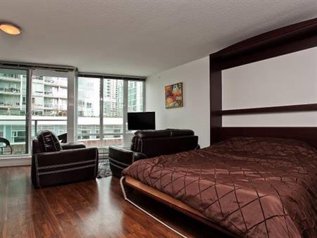 Pet Allowed -Available December 1st-Furnished Studio @233 Robson