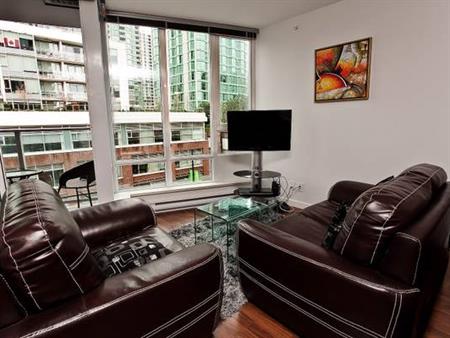 Pet Allowed -Available December 1st -Furnished Studio @233 Robson