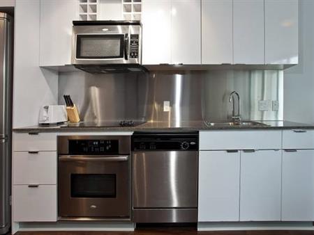 Pet Allowed Furnished Studio @233 Robson -Available March 1st