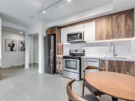 NEW West End Studio, Pet Friendly@ 1170 Barclay-Available December 30