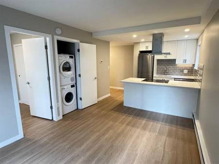 Brand New Pet Friendly 1 Bedroom with In-Suite Laundry in Fairview