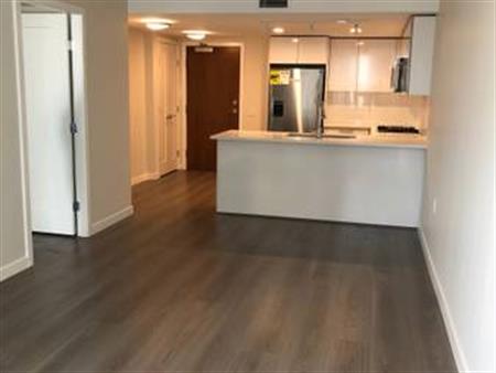 Richmond: near skytrain,A/C, 600 sf spacious, brand new 1b1b apartment