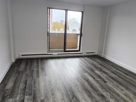 1 CH - 1 SDB - Montréal - $1,250 /mo