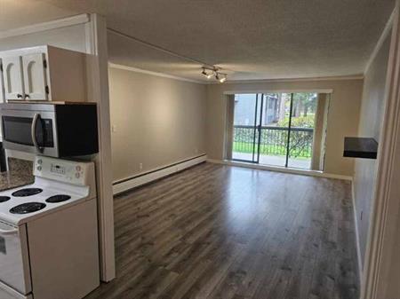 Newly Renovated 1-Bedroom Apartment Centrally Located in Abbotsford