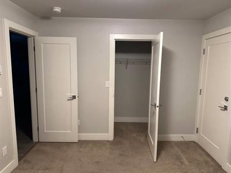 Basement suit for rent