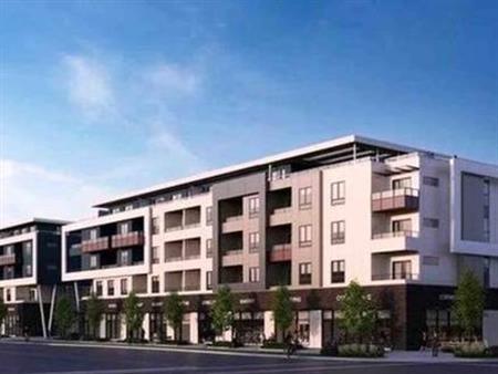 Stunning Rental Opportunity, brand new condo