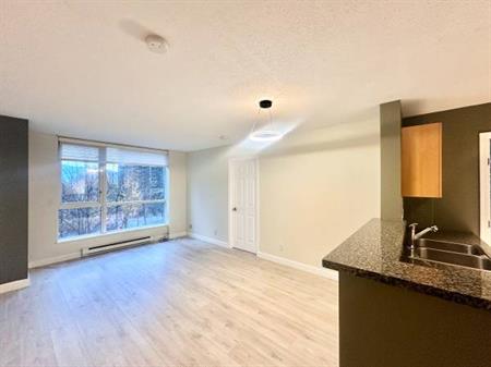 Spacious Open 2 Bedrooms | 2 Bathrooms at Coal Harbor