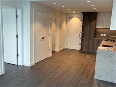 Brand New One Bedroom A/C Apartment Near Lougheed