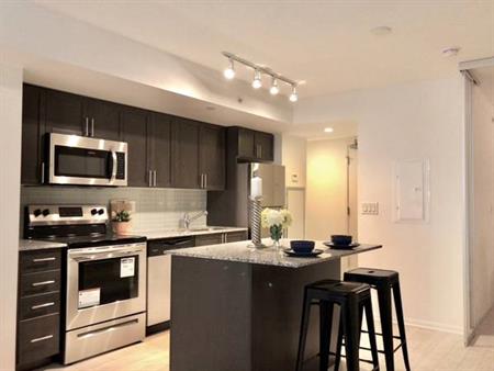 Treviso Bright 2 bed 2 full bath - Dufferin and Lawrence - City of Tor