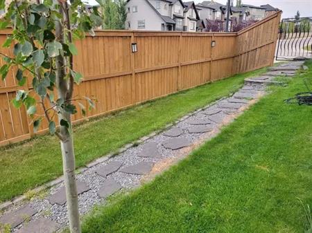 Cozy Walkout basement | Calgary