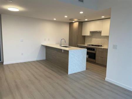 2 bed 2 bath + 2 parking new building surrey central