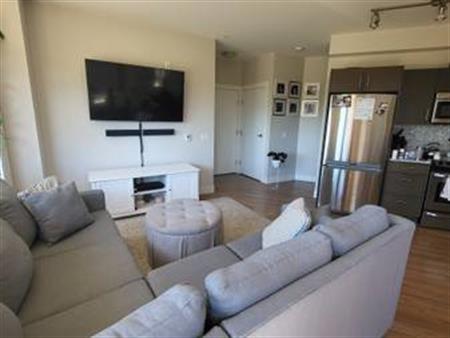 2 Bedroom 2 Bathroom Furnished Condo - December 1