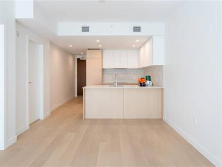 Brand NEW 1 Bedroom - Cook & Yates - Downtown