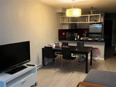 Furnished 1 bedroom & den available right away