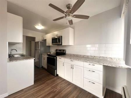 Beautiful, renovated 3 bedroom!