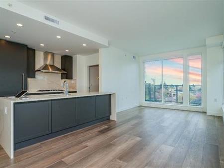 Luxury 2b2b +1den Condo for rental