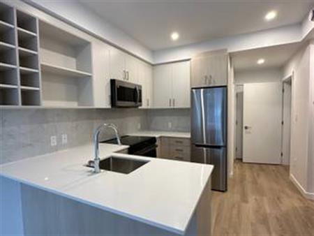 Brand New 1 bedroom + den