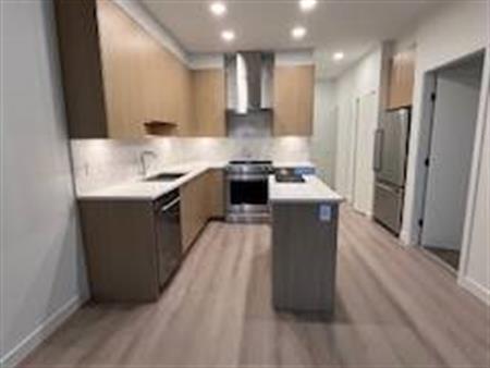 New 2 bed 2 bath near skytrain