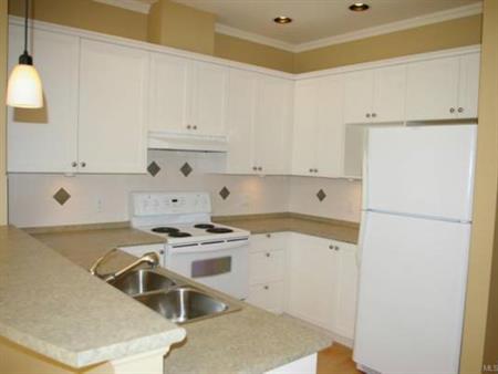 2 bed + DEN, 2 bath, 1 parking spot - January rental