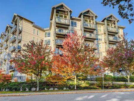 201-924 Esquimalt Rd - Available Immediately