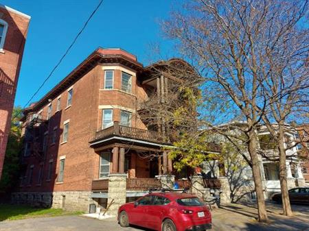 1 Bedroom Sandy Hill Apartment for Rent (255 Daly Ave)