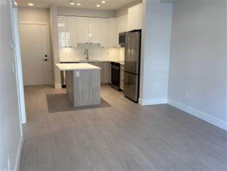 BRAND NEW GREAT LOCATION 1 BED 1BA APARTMENT WITH PARKING