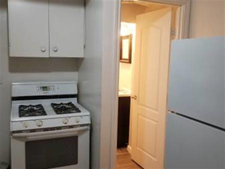 (DOWNTOWN) 1-Bedroom Bachelor Suite, FURNISHED!