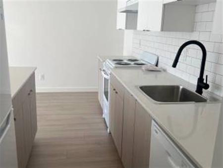 Newly Renovated 1 bedroom suite – close to SkyTrain in New Westminster