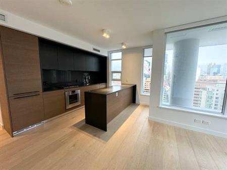 Luxury 2 bed 2 bath condo in downtown