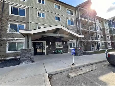 Cozy 1 Bedroom Skyview Condo | Calgary