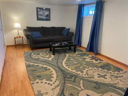 1br basement suite