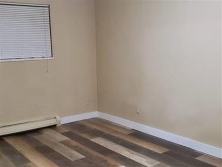 One bedroom basement ground level renovated @$1400