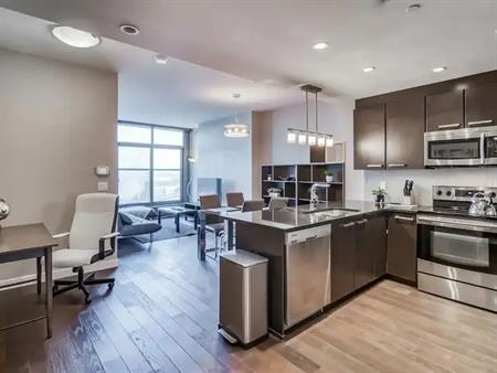 Beautiful High Rise Condo In The Heart of Beltline for rent starting Nov. 1st | 2202 - 225 11th Ave SE, Calgary