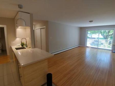 1 bdrm apartment for rent December 1 2024 $2400