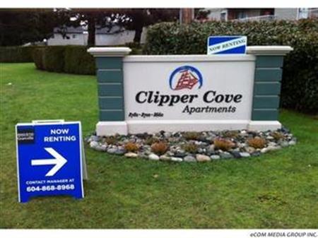 Clipper Cove Apartments - 1Bed / 1 Bath Apartment