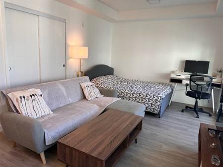 Luxury Furnished Studio at UBC Campus