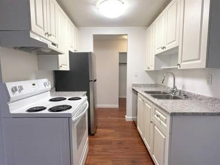 Spacious 1 Bed, 1 Bath Apartment in Downtown Maple Ridge