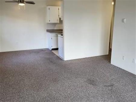 Spacious 1 Bedroom Apartment (Unit 209)