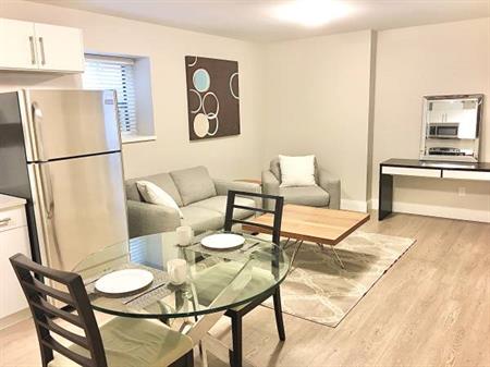 New Modern Furnished 2 br bedroom suite Burnaby quiet neighborhood