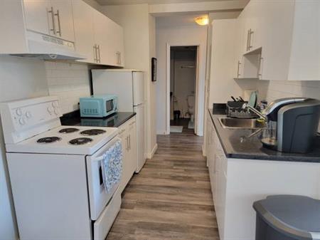 Newly Renovated Furnished 2 Bedroom + 1 Bath! Amazing City VIEWS!!!