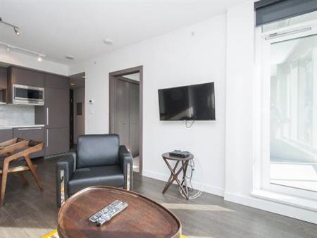 Available: January 1st -PET Friendly Furnished 1 BEDROOM @ 38 Smithe