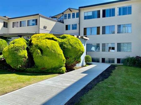 Burnaby One Bedroom Spacious 850sqft Indoor Heated Pool Apt