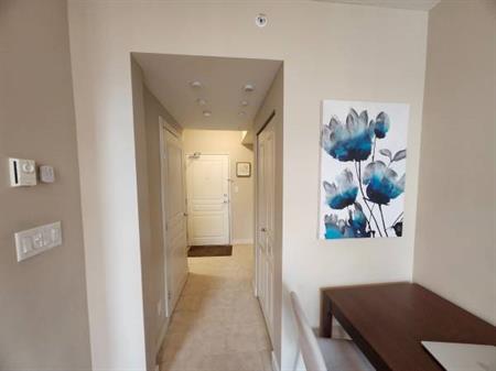 Fully-Furnished 1 Bedroom + Den (pet friendly)