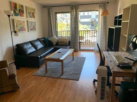 790sq ft Furnished 1br Lower Lonsdale North Van, Pets Allowed