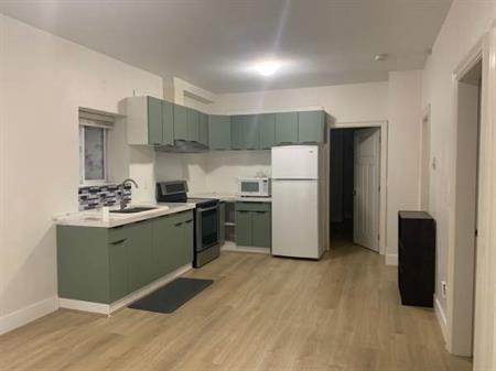 Surrey Fleetwood basement for rent