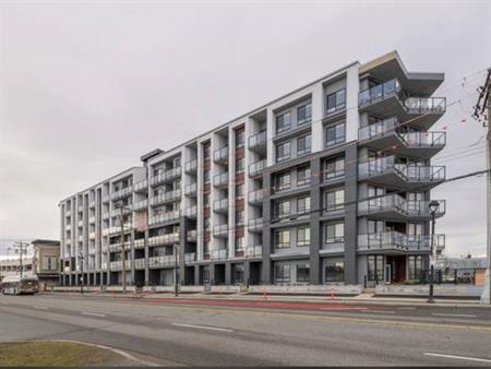 1 bed + 1 bath in Langley City