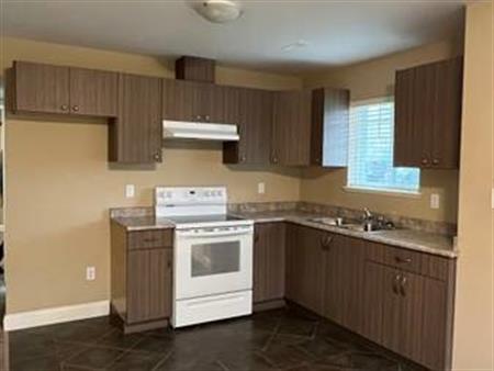 1 Bedroom basement suite $1250