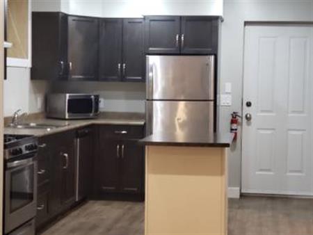 One Bedroom Basement for rent in Garrison Crossing