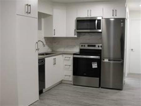 2br 1 ba basement suite in Renfrew heights